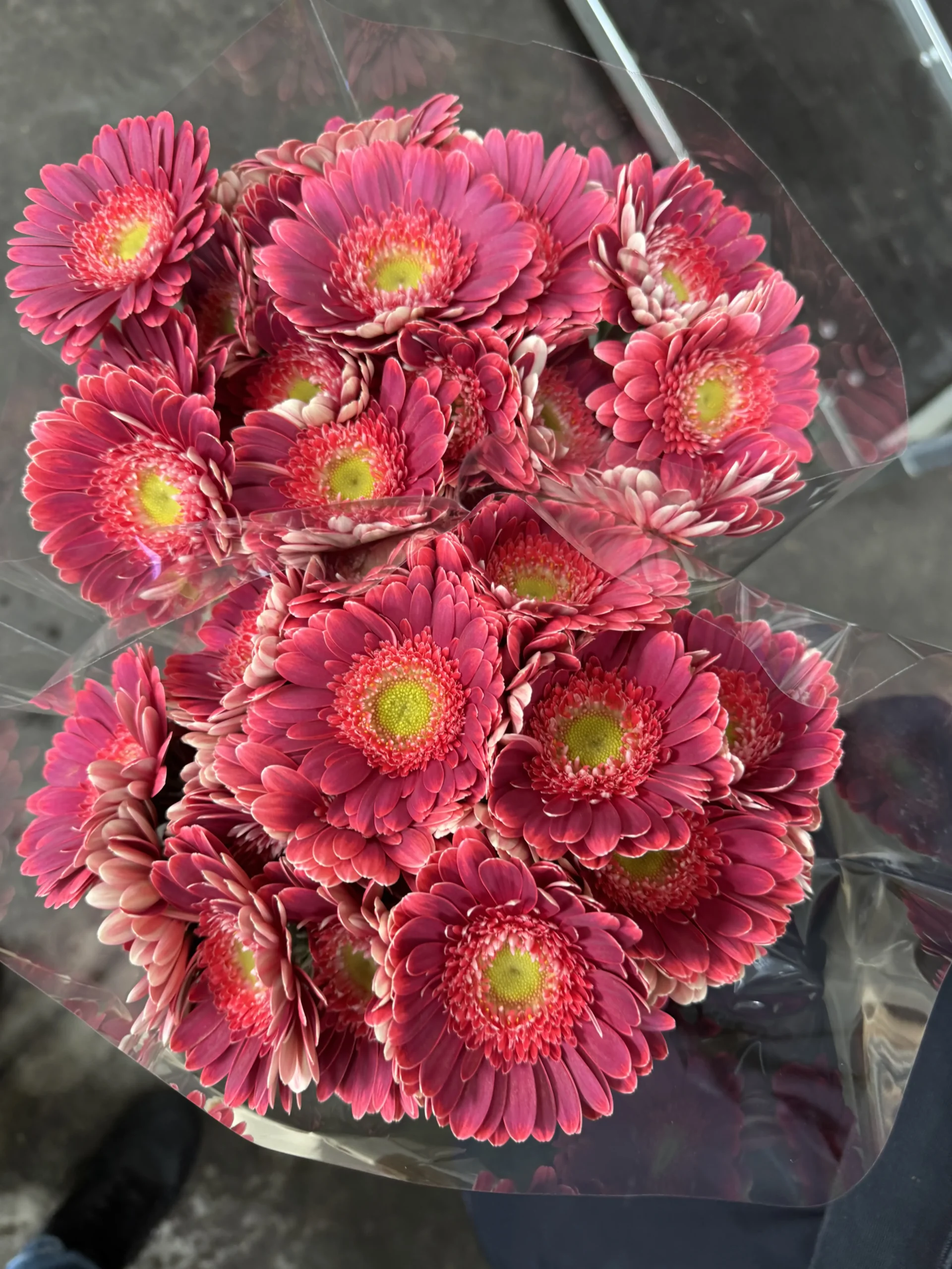 Image Slider